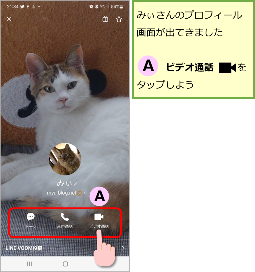 プロフィール画面からビデオ通話をタップ