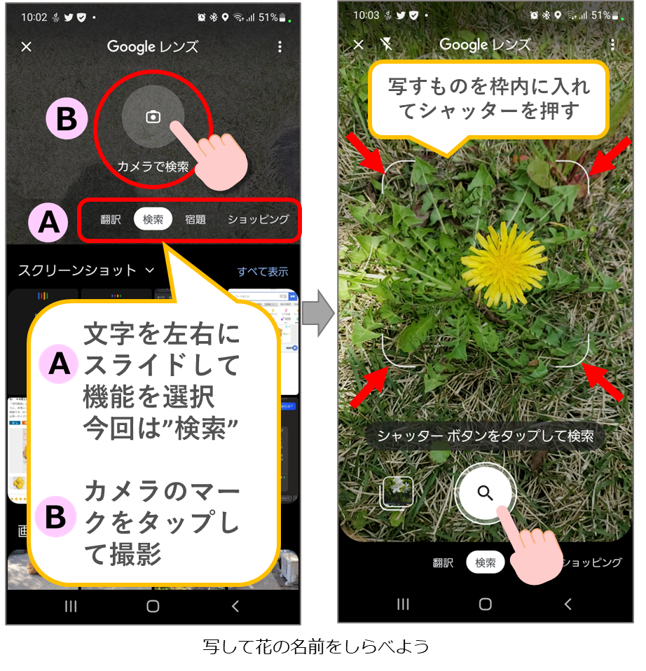 写して花の名前を調べよう