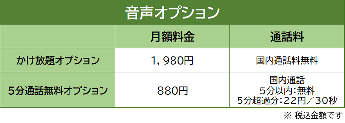 irumoの音声オプションの内容