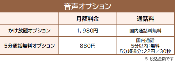 音声オプションの内容