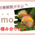 ドコモの無制限プラン"eximo"他との棲み分けは？