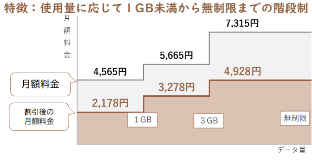 特徴：使用量に応じて１GB未満から無制限までの階段制の説明図