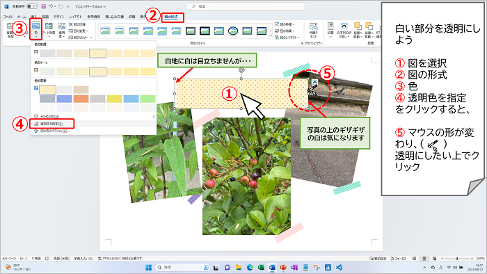 図の不要な部分を透明にする