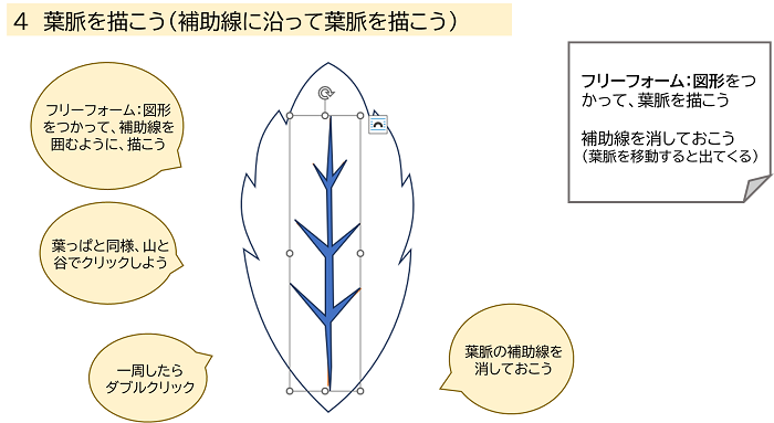 ４ 葉脈を描こう（補助線に沿って葉脈を描こう）