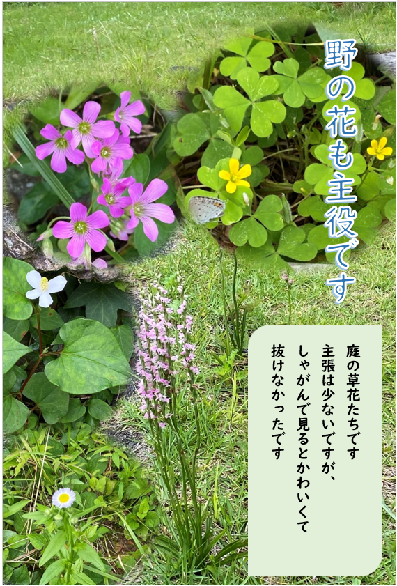 野の花も主役です（完成例）